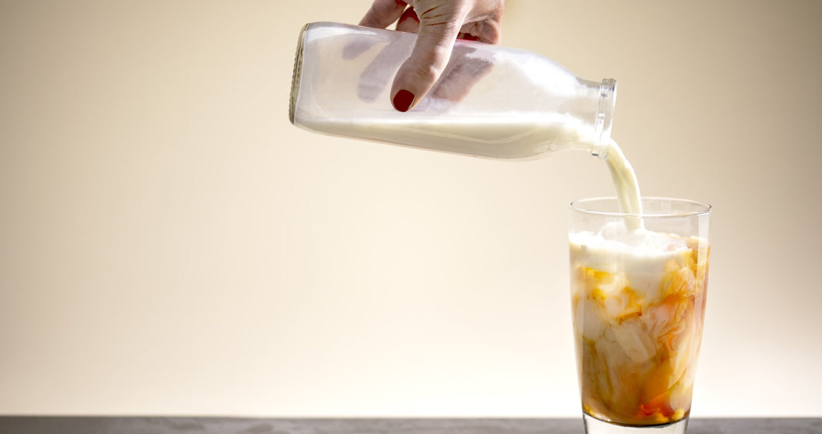 Everything You Need to Know About Iced Coffee, Espresso, and Cold Brew –  Whole Latte Love