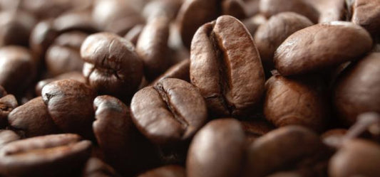 Feature Grid Default Image 3