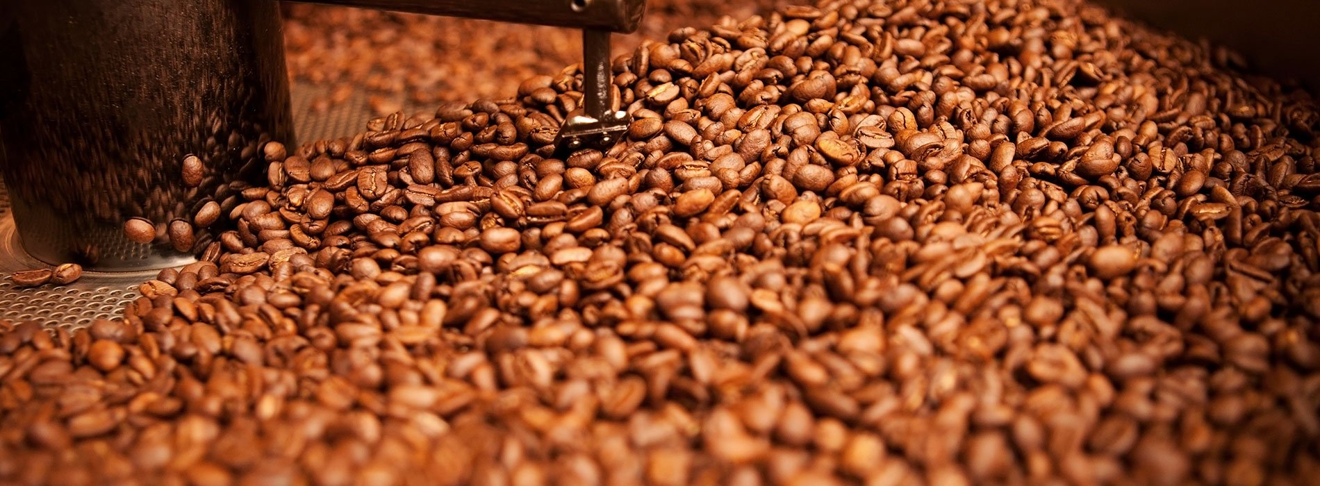 Gaggia Anima vs. Anima Deluxe vs. Anima Prestige