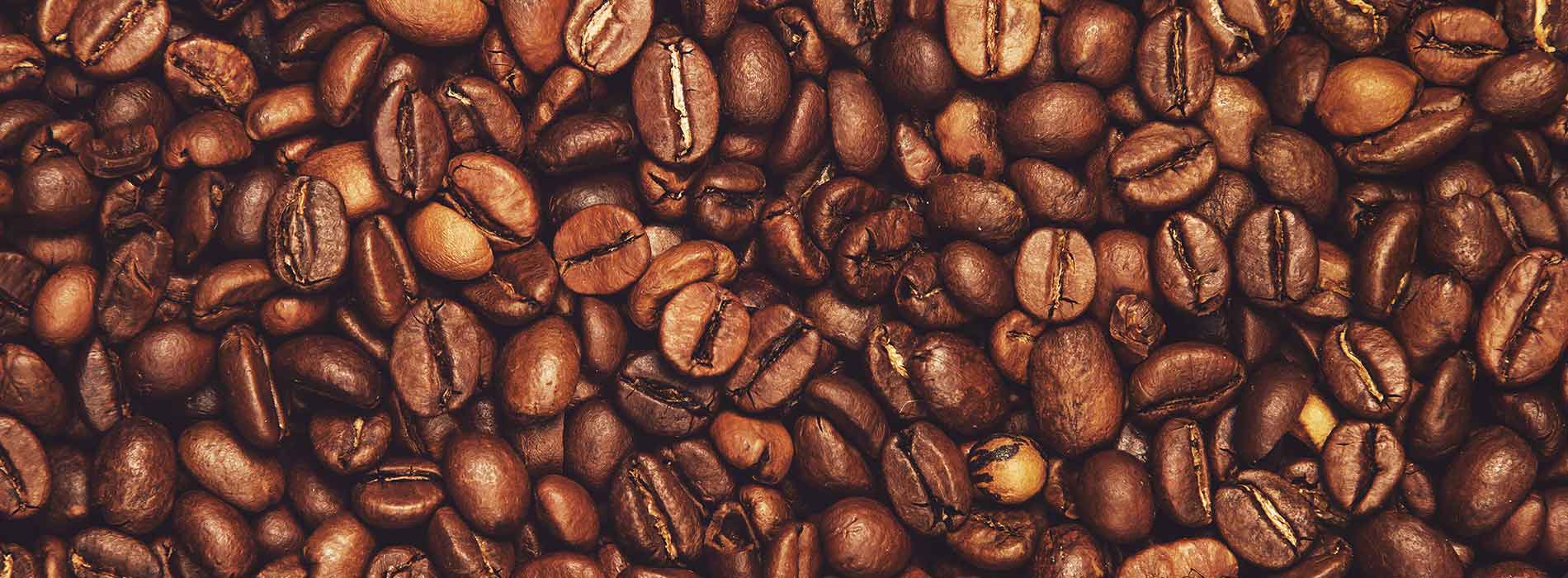 The Founding Fathers of Espresso