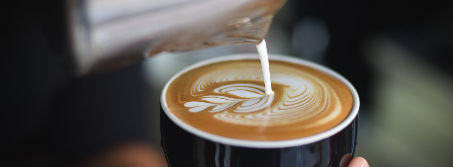 Milk Frothing for Beginners