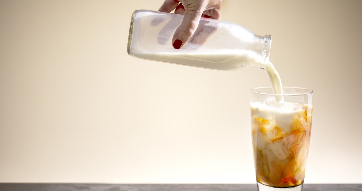 Everything You Need to Know About Iced Coffee, Iced Espresso Drinks, and Cold Brew