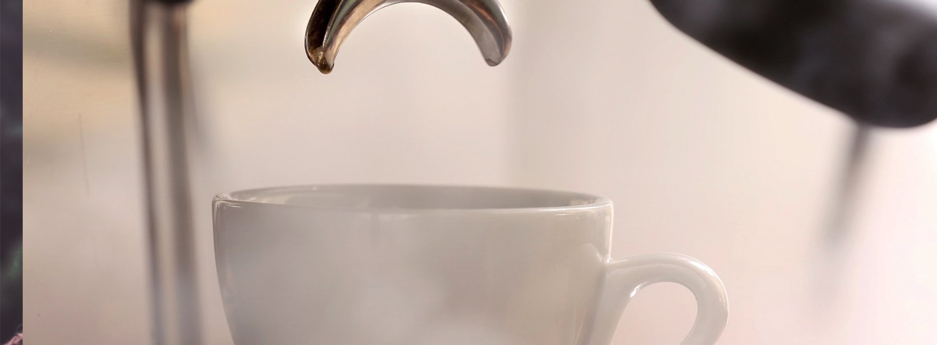 bannerimage
