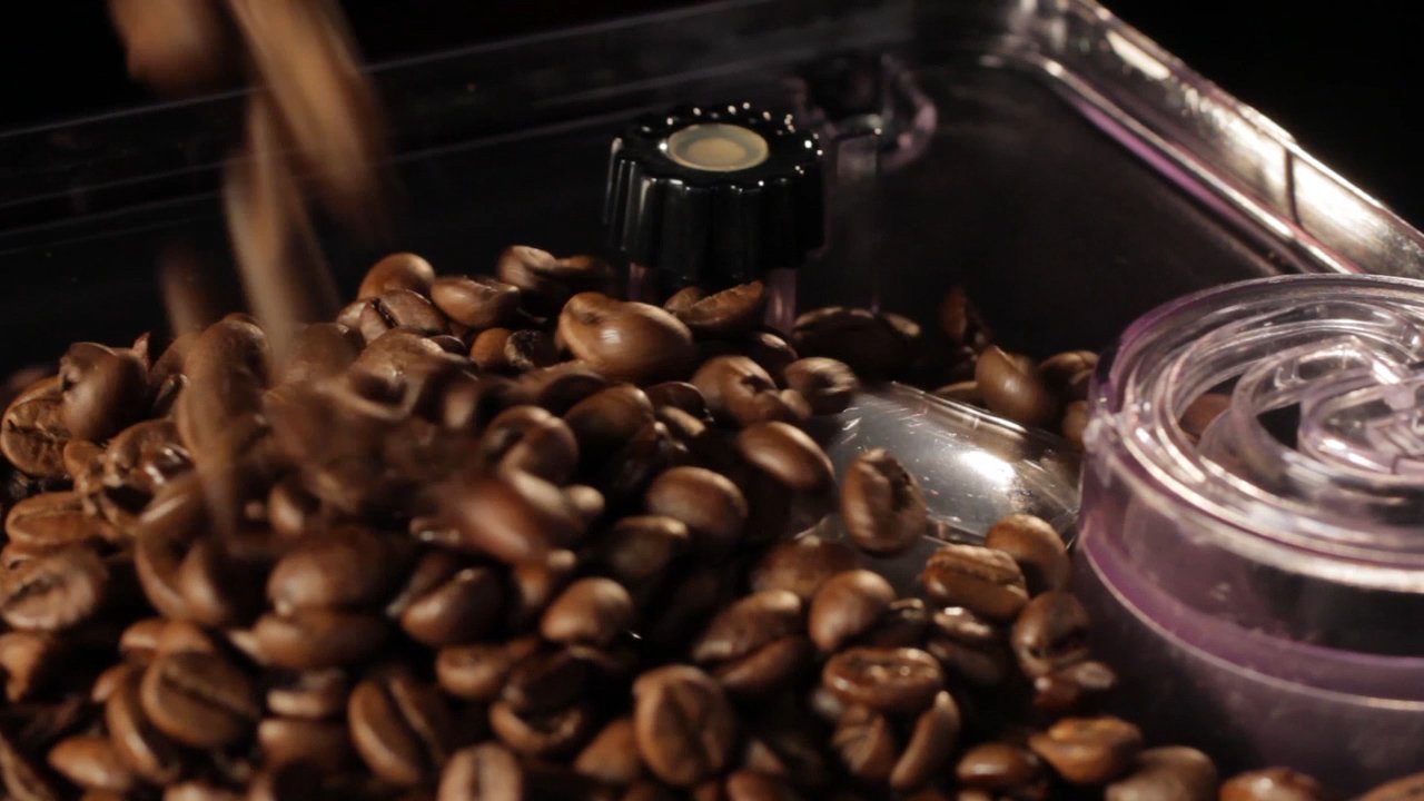 Gaggia Brera Espresso Machine in Black – Whole Latte Love Canada